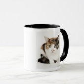 茶色のぶち猫のポートレート マグカップ (正面右)
