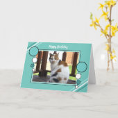 茶色のぶち猫の着席の写真のターコイズの緑 カード (黄色い花)