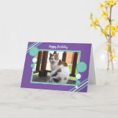 茶色のぶち猫の着席の写真の紫色のターコイズ カード (黄色い花)