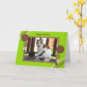 茶色のぶち猫の着席の写真の緑の茶色 カード (黄色い花)