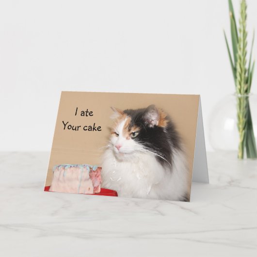 茶色のぶち猫の誕生日 カード (正面)