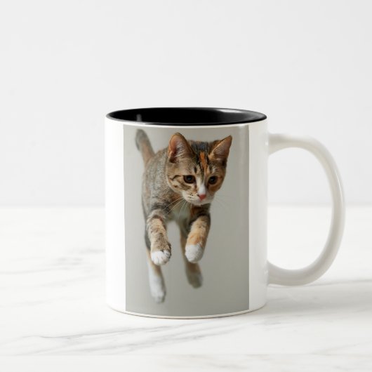 茶色のぶち猫の跳躍 ツートーンマグカップ (右)