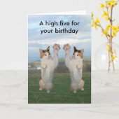 茶色のぶち猫高い5 カード (黄色い花)