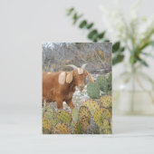 茶色のまだらヤギ ポストカード (スタンド正面)