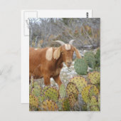 茶色のまだらヤギ ポストカード (正面/裏面)