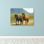 茶色のアイスランドのポニー キャンバスプリント (インサイチュ (ウッドフロア))