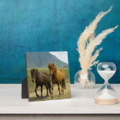 茶色のアイスランドのポニー フォトプラーク (インサイチュ)