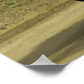 茶色のアイスランドのポニー ポスター (角)