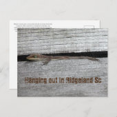 茶色のアノール葉書 ポストカード (正面/裏面)