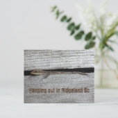 茶色のアノール葉書 ポストカード (スタンド正面)