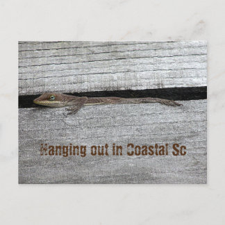 茶色のアノール葉書 ポストカード