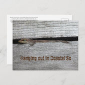 茶色のアノール葉書 ポストカード (正面/裏面)