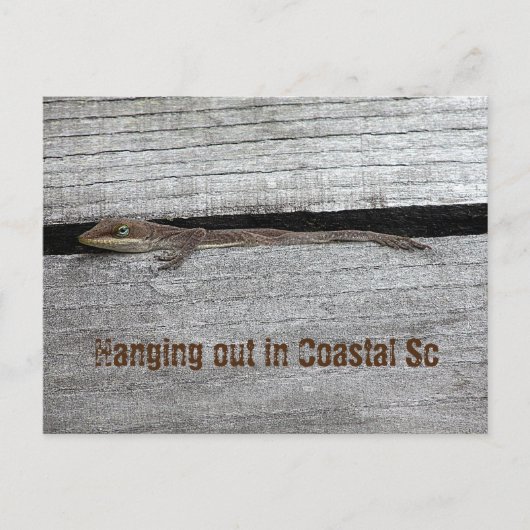 茶色のアノール葉書 ポストカード (正面)