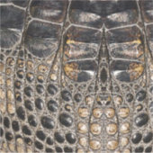 茶色のアメリカのアリゲータースキンテクスチャ シール (正面)