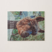 茶色のアルパカポートレート ジグソーパズル (横)