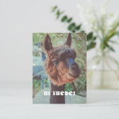 茶色のアルパカポートレート ポストカード (スタンド正面)