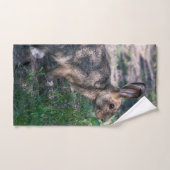 茶色のウサギ、自然、野生動物で休息 ハンドタオル (ハンドタオル)