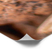 茶色のカシューナッツ ポスター (角)