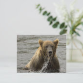茶色のクマが釣りをするポストカード ポストカード (スタンド正面)