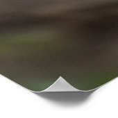 茶色のクマすべての手と爪 ポスター (角)