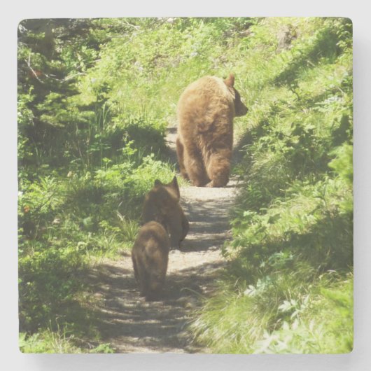 茶色のクマの家族 ストーンコースター (正面)