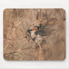 茶色のスズメの鳥の風景　田舎の森の野生生物の写真 マウスパッド