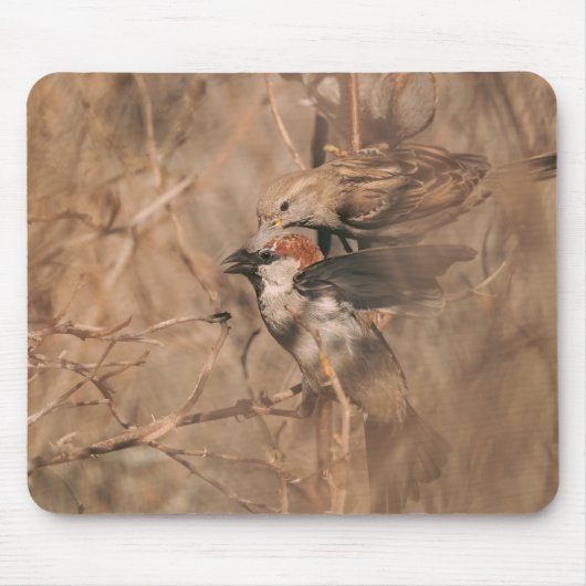 茶色のスズメの鳥の風景 田舎の森の野生生物の写真 マウスパッド (正面)