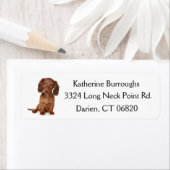 茶色のダシュント子犬パーソナライズされた ラベル (インサイチュ)