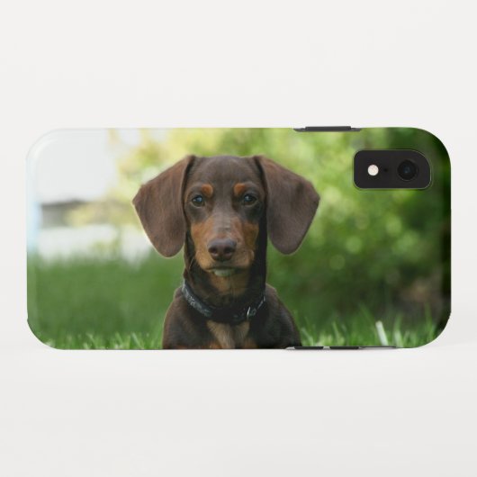 茶色のダシュント子犬 Case-Mate iPhoneケース (裏面(横))