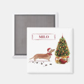 茶色のダックスフンド クリスマスのユーモア 犬とツリー マグネット (正面/裏面)