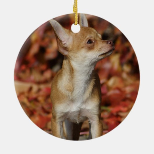 茶色のチワワの子犬 セラミックオーナメント (裏面)