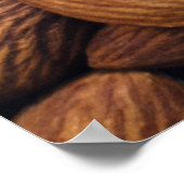 茶色のナッツ ポスター (角)