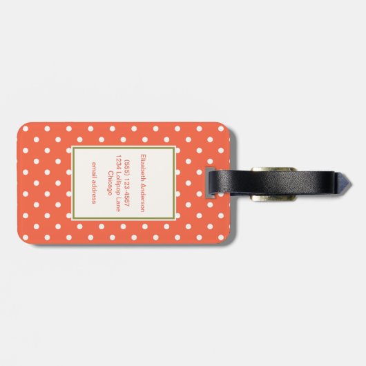 茶色のベビーモンキーおしゃぶり水玉模様 ラゲッジタグ (裏面横)