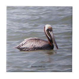 茶色のペリカンタイル タイル