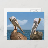 茶色のペリカンポストカード2枚 ポストカード (正面/裏面)