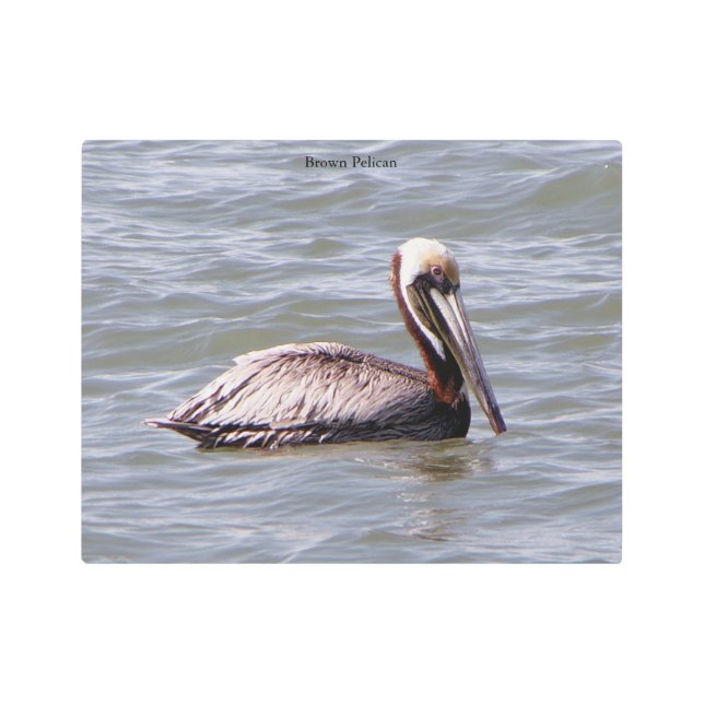 茶色のペリカンメタルウォールアート メタルプリント (正面)