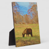 茶色のミニチュアポニー フォトプラーク (側面)