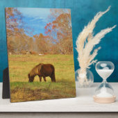 茶色のミニチュアポニー フォトプラーク (側面)