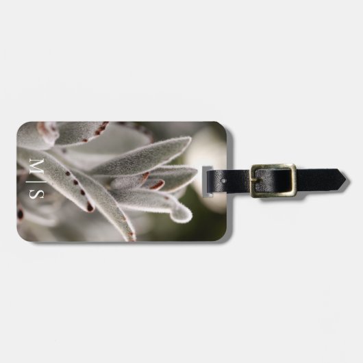 茶色のモノグラムの先端を持つセージ緑色の多肉植物 ラゲッジタグ (正面横)