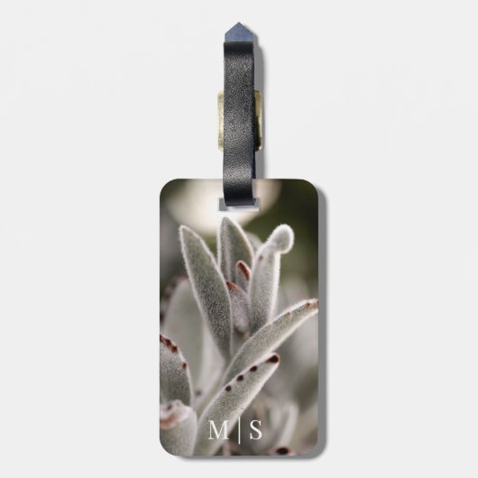 茶色のモノグラムの先端を持つセージ緑色の多肉植物 ラゲッジタグ (裏面縦)