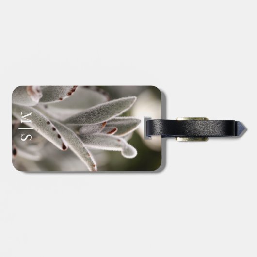 茶色のモノグラムの先端を持つセージ緑色の多肉植物 ラゲッジタグ (裏面横)