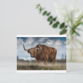 茶色のヤクの緑と茶色の草原 ポストカード (スタンド正面)