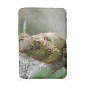 茶色のリス 野生動物 写真 バスマット (正面縦)