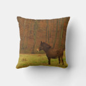 茶色のロバ クッション (裏面)