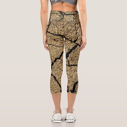 茶色の乾いた土地は、土の干ばつテクスチャを割った カプリレギンス (裏面)