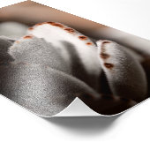 茶色の先端を持つセージ緑色の多肉植物 フォトプリント            (角)