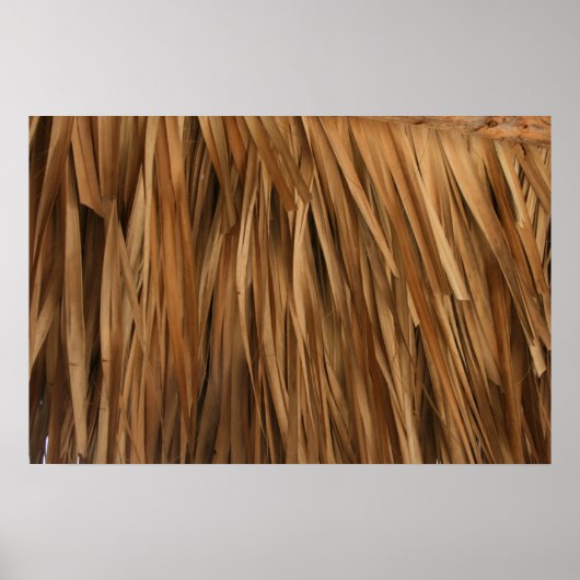 茶色の前屋根パターン ポスター (正面)