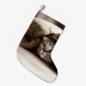 茶色の厚いパイル毛布における茶色のスコティッシュフォールド スモールクリスマスストッキング (正面 (吊り時))