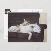 茶色の子犬の白いアメリカのブルドッグ現実主義芸術 ポストカード (正面/裏面)