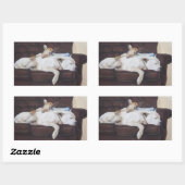 茶色の子犬の白いアメリカのブルドッグ現実主義芸術 長方形シール (シート)